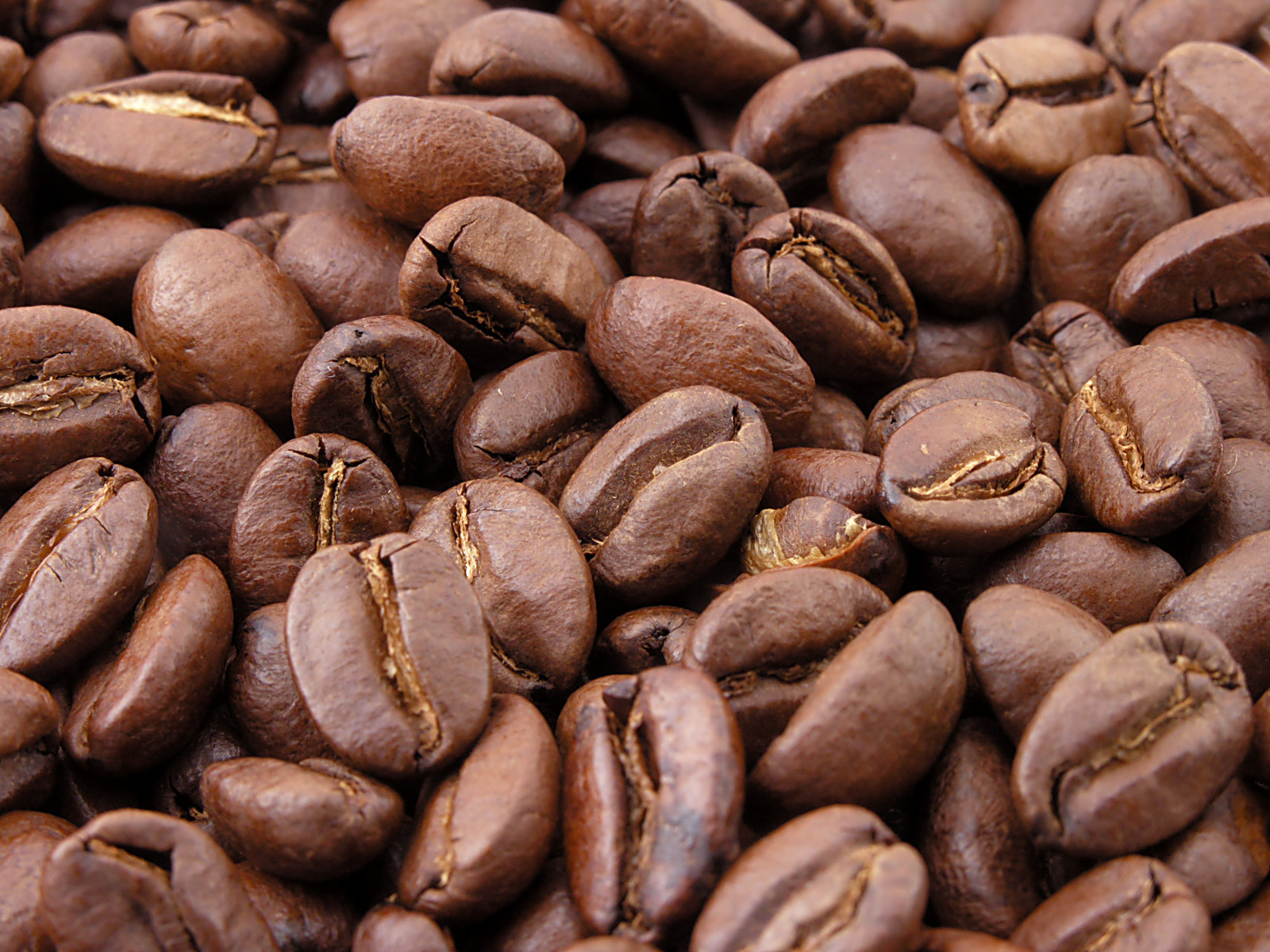 Representative coffee bean photo for the Beans & Storage category — close-up of roasted coffee beans filling the frame.